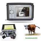 190891629975 Carejoy Vet Digital Handheld Ultrasound Scanner Machine Rectal