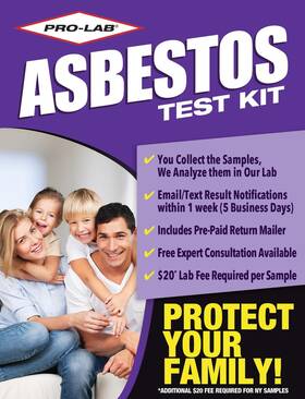 Branded As108 2 Sample Asbestos Test Kit Quick 3-5 Day Results With Professional Consultation