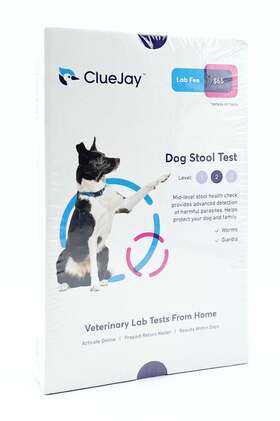 Cluejay 850013103164 Dog Level 2 Stool Test - Collect And Mail From Home To Lab Sealed