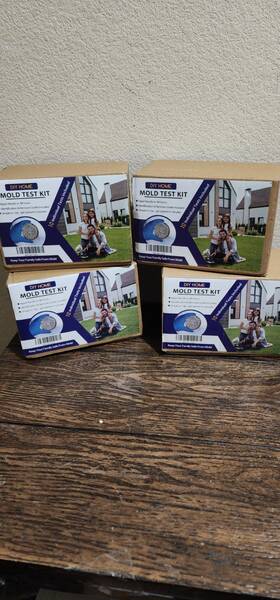 Diy Home Mt10 Mold Test Kit 10 Individual Tests Per Box Rapid Results 48 Hours 4 Pack
