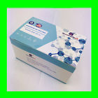 Ide-25-pfs Diagnosus One Step Menopause