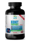 Kidney Support 700mg Hs Horsetail 0755702132947