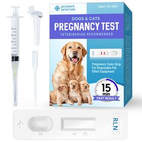 Pasobass 724990980004 Dog Pregnancy Test Kit Simple Home Use Disposable Strips For Dogs And Ca