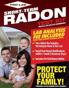 Ra400 Prolab Pro-lab Radon Gas Short-term Test Kit 2 Detectors For Real-estate Transactions