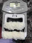 Gripx 198LBS / 90KG Strength Tester Trainer, Battery Operated. Fixed Price $18.00.