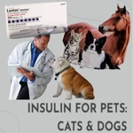 Fresh Unopened Sealed Box (5) Set For Pets W/ High Sugar Frig Stored Nib. Fixed Price $30.00.