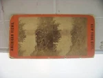 American View Stereo Card New York City Lake Scene Central Park Photo Nyc. Fixed Price $12.95.