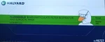 Halyard 46727 Fluidshield Particulate Filter N95 Respirator Mask. Fixed Price $19.00.
