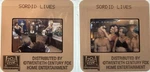 Olivia Newton-john Sordid Lives Movie Press Kit 35MM Slide Film TRANSPARENCY#654. Fixed Price $15.00.