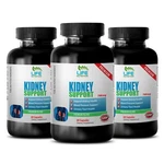 Horsetail Herb Powder - Kidney Support 700MG Urinary Tract Ultimate Pills 3B. Fixed Price $52.68.