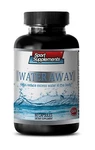 Dandelion Root - Water Away Pills 700MG With Corn Silk (herb Powder) Caps 1B. Fixed Price $17.30.